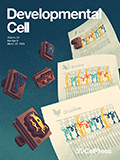 Developmental Cell