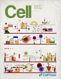 Cell