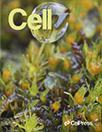 Cell