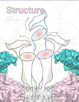 structure